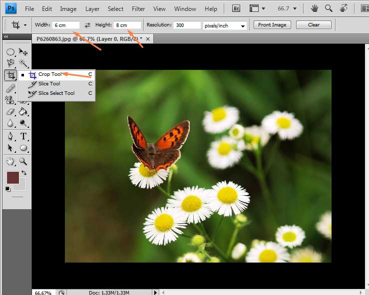 cara cropping foto di photoshop