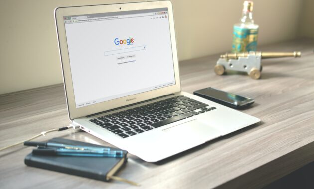 belajar seo untuk pemula